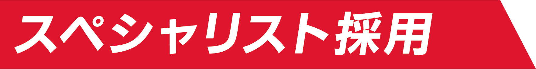 スペシャリスト採用